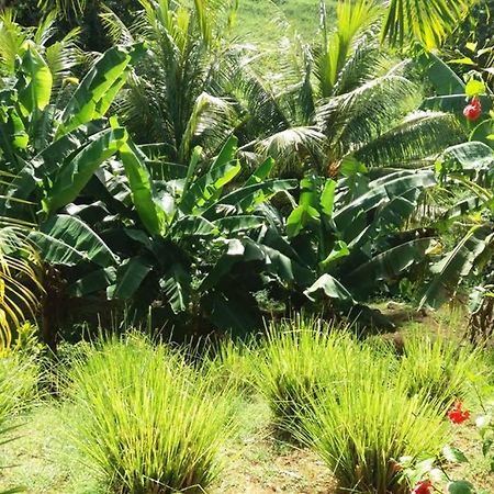 Апартаменты Les Orchidees Пети-Бур Экстерьер фото